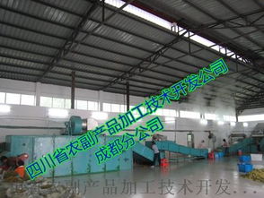 探秘脱水黄瓜生产线 技术与工艺的完美结合