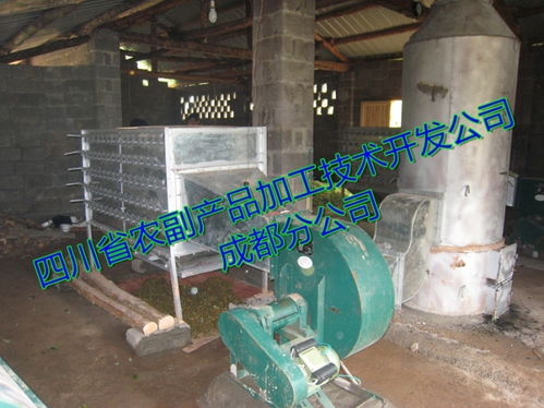 辣椒烘干设备技术指南 朝天椒与牛角椒的专业烘干解决方案